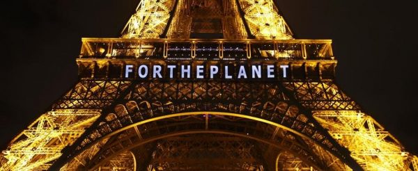 Local 20/20's Comments on Withdrawal from Paris Climate Accord