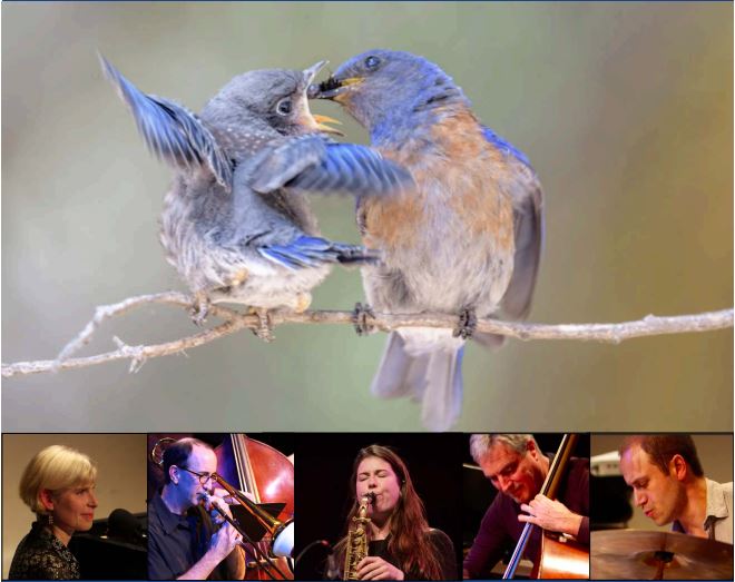 For The Birds Climate Concert and Energy Talks - Nov 15th
