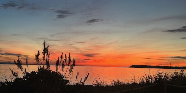 Ann_26_05_04